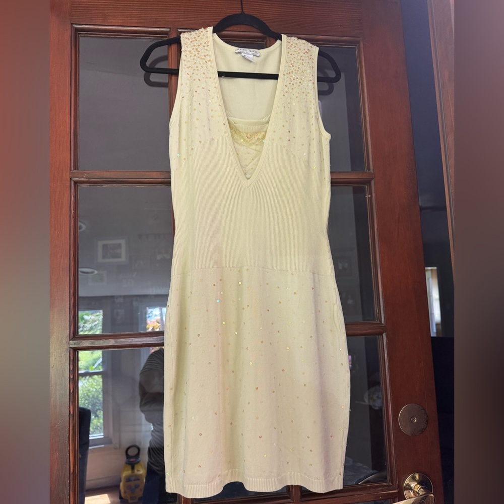 Alberto Makali Women's Beaded Rayon/Spandex Tank Dress Size L